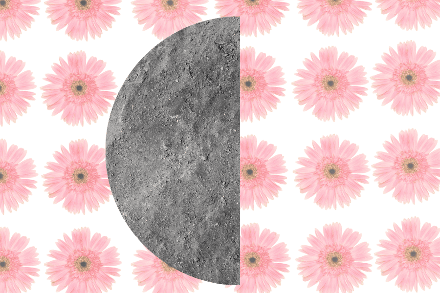 Last Quarter Moon for Business Planning