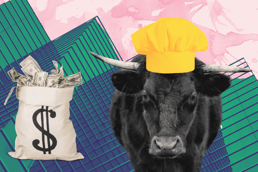 Best Careers Paths for Taurus