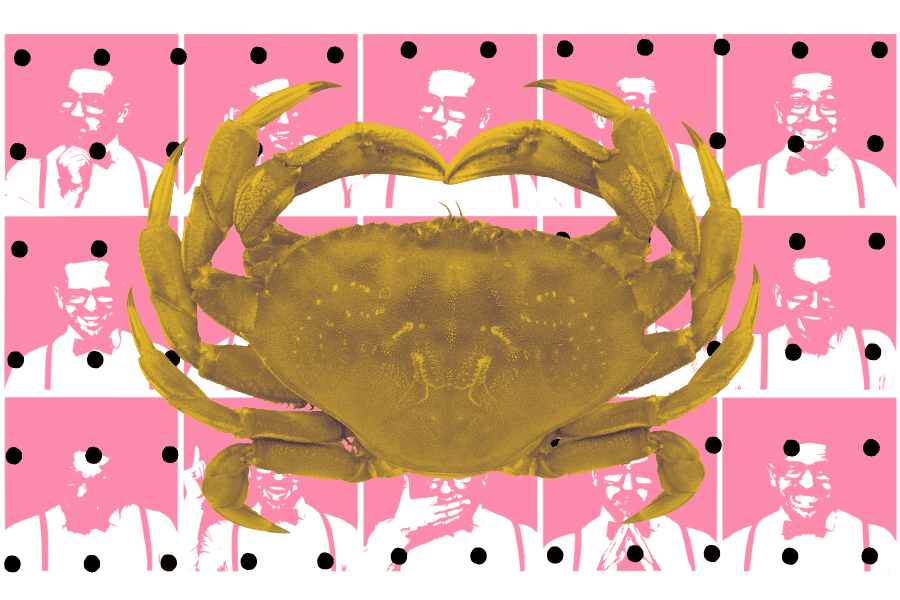 Best Careers Paths for Cancer