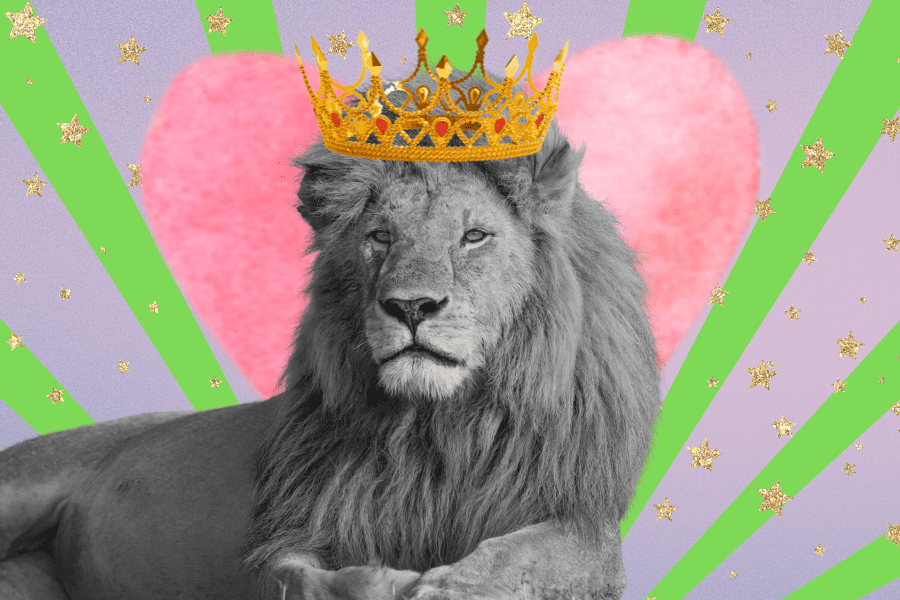 Best Careers Paths for Leo