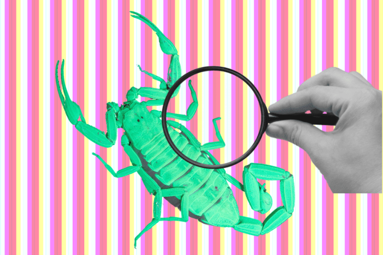 Best Career Paths for Scorpio