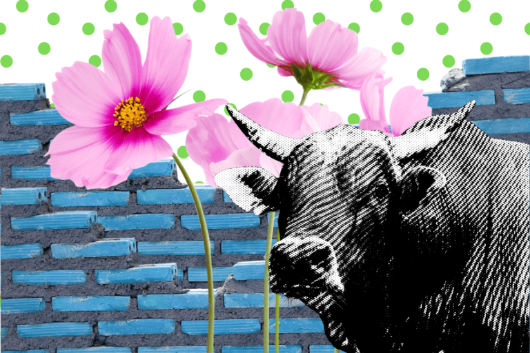 10th House in Taurus