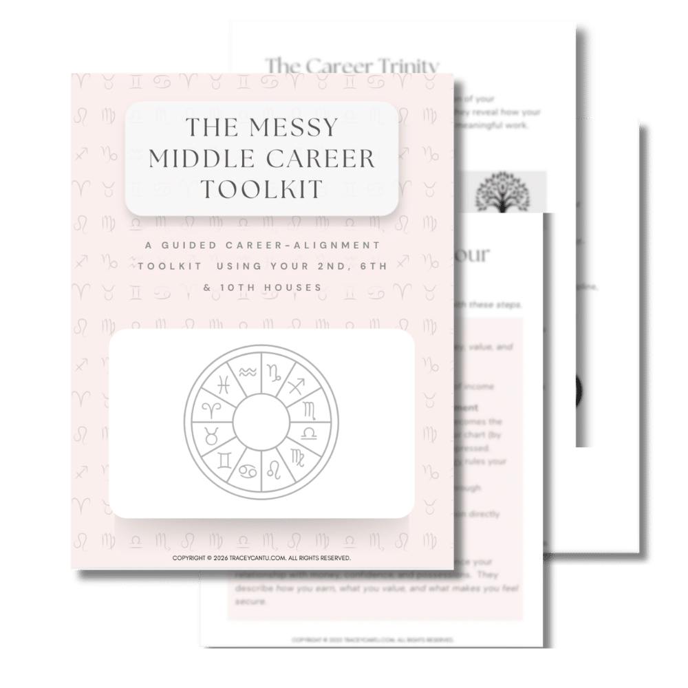 Messy Middle Career Toolkit_Transp