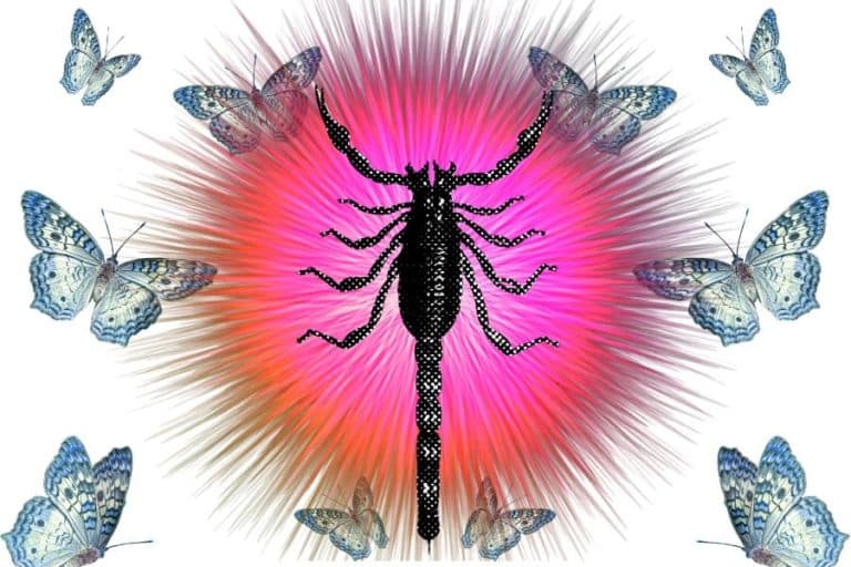 10th House in Scorpio