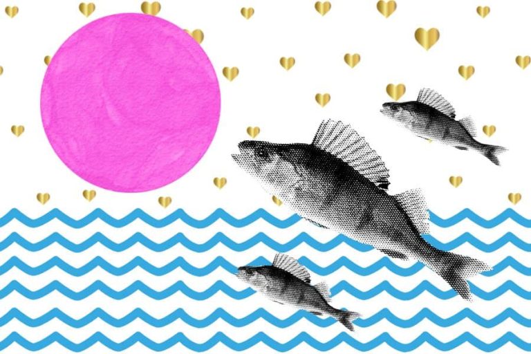 Pisces in the 6th house